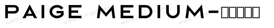 Paige Medium字体转换
